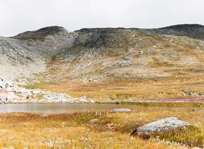 🥾Hiking vs Trekking: The Ultimate Guide to Understanding the Difference! 🌄