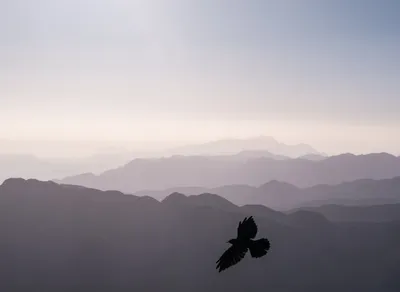 Discover the True Meaning Behind Hiking and Unleash Your Outdoor Adventure Spirit