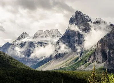 Discover the Thrilling World of Mountain Trekking and Unleash Your Adventurous Side!