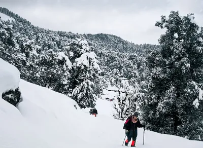 Discover the Amazing Benefits of Trekking - Boost Health, Fitness & Fun