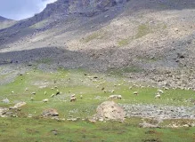 Discover the Magic of Trekking: Everything You Need to Know!