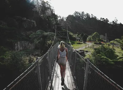 Discover the Astonishing Benefits of Trekking Pole!