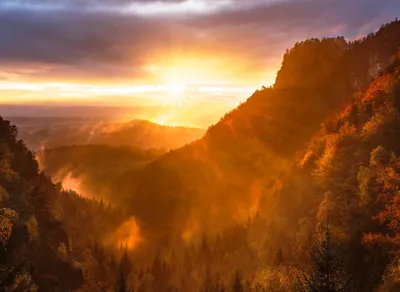 Discover the Meaning of Mountain Trekking and Unleash the Adventurer Within