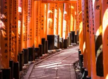 Uncover the Surprising Advantages of Hiking and Trekking