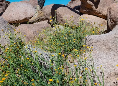 Discover the Ultimate Difference Between Trekking and Hiking