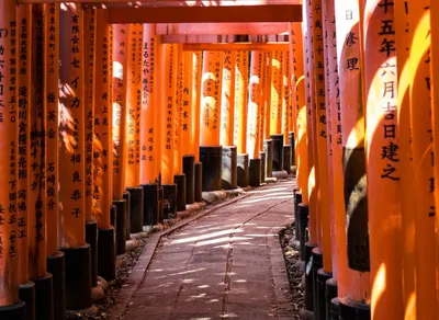 Uncover the Surprising Advantages of Hiking and Trekking