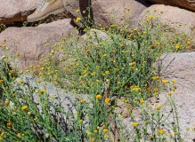 Discover the Ultimate Difference Between Trekking and Hiking