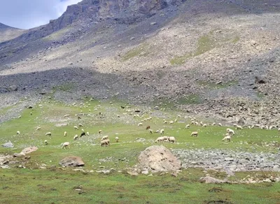 Discover the Magic of Trekking: Everything You Need to Know!